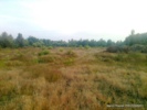 7 Lipca 2011
