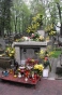  Powi�ksz zdj�cie 