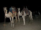 Powi�ksz zdj�cie 