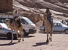  Powi�ksz zdj�cie 
