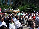  Powi�ksz zdj�cie 