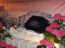  Powi�ksz zdj�cie 